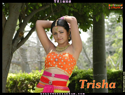 Tamil Actress Trisha Hot Sexy Glamorous wallpaper