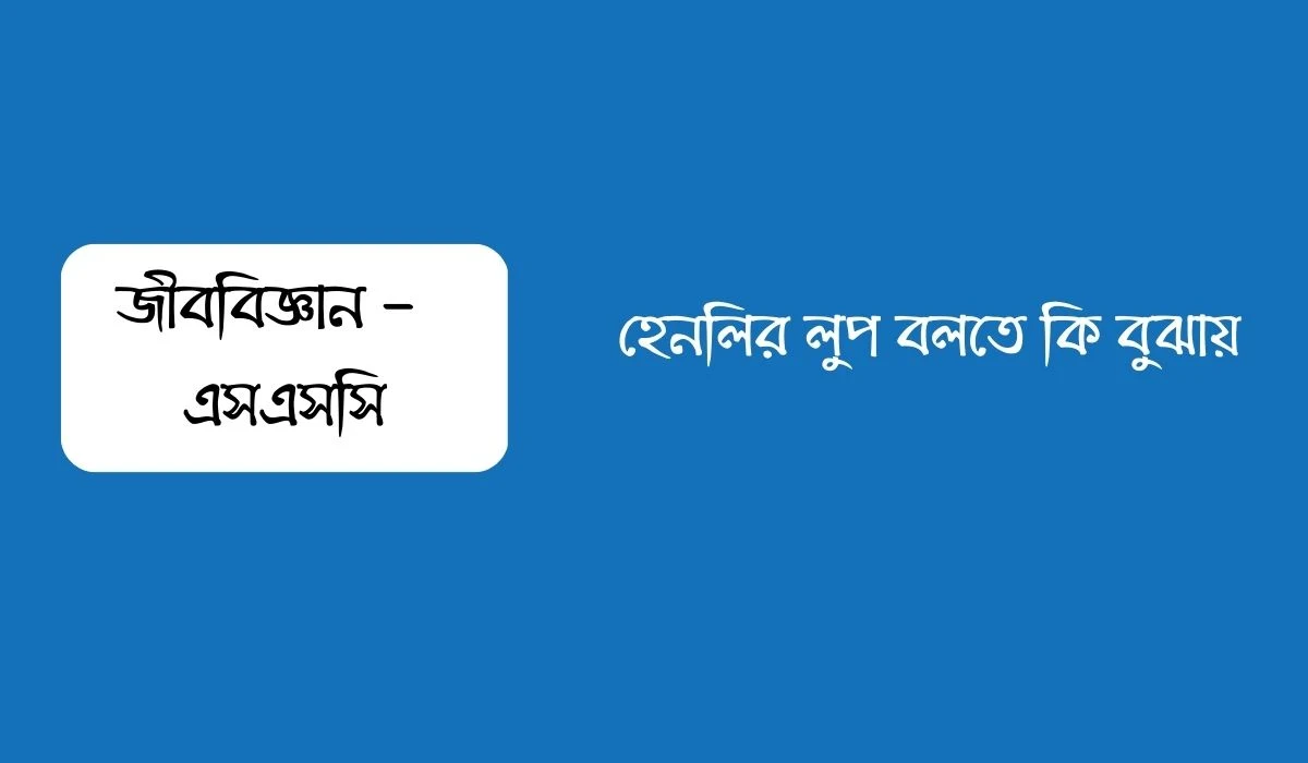 হেনলির লুপ বলতে কি বুঝায়