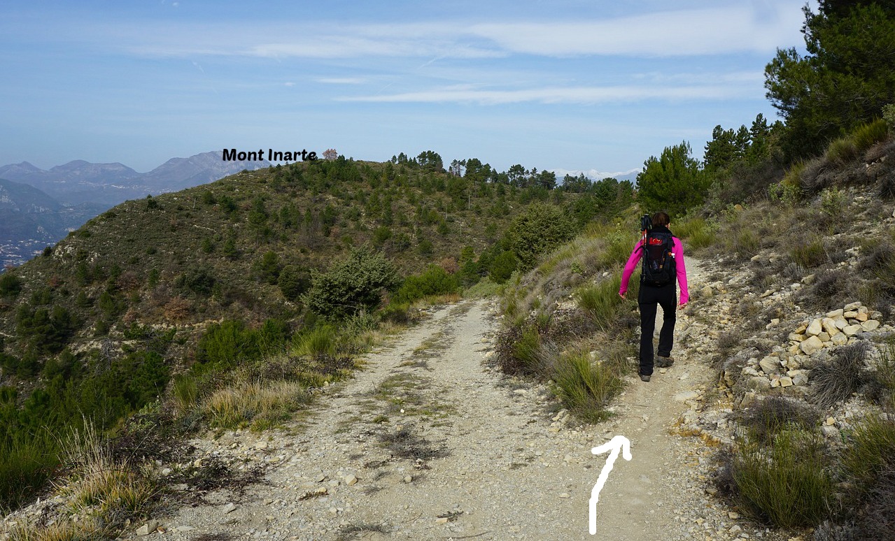 Trail to Mont Inarte