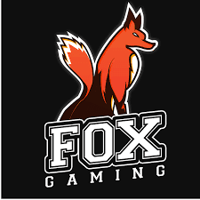 pack fox gaming app company Multan