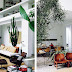 Living with the Cacti