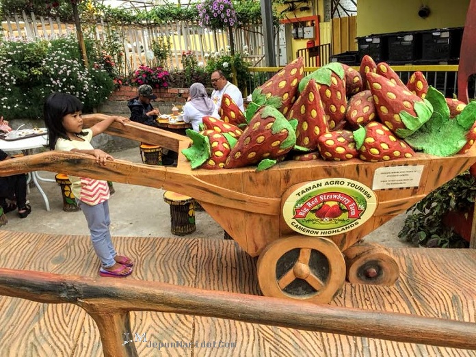 Cameron Highland : Dari Kea Farm ke Big Red Strawberry Farm