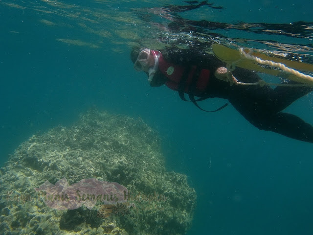 pulau bohey dulang