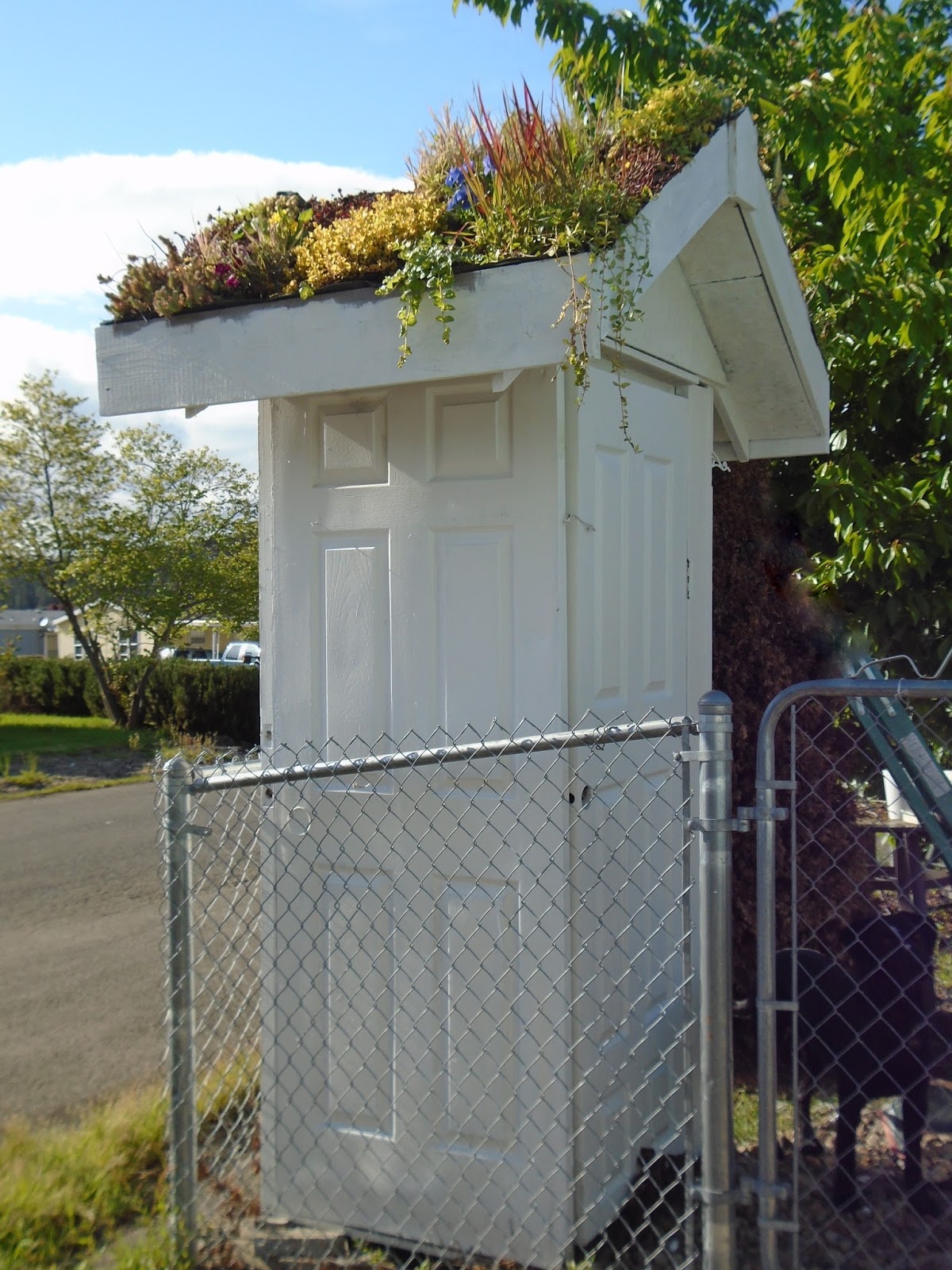 Make The Best of Things: A Living Plant Roof On Our Shed