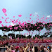 Race for The Cure 2018, RECORD PER LA XIX EDIZIONE: OLTRE 72000 ISCRITTI