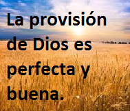 LA PROVISIÓN DE DIOS ES BUENA