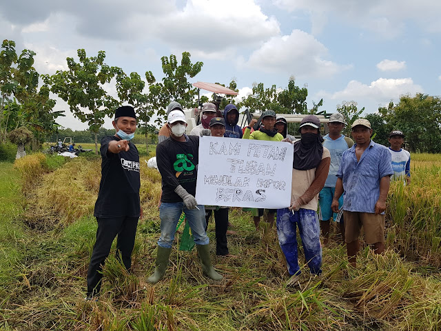    LP2NU Kritik Wacana Impor Beras Pemerintah Membuat Petani Tuban Pesimis 