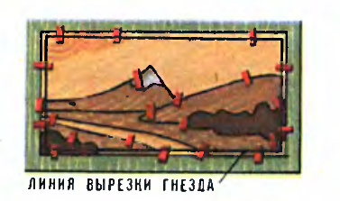 паспарту для маркетри