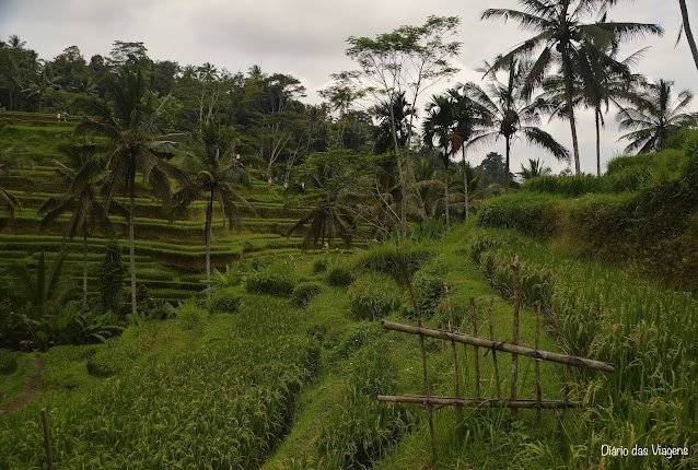 Ubud - O que visitar