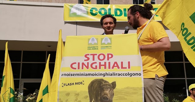 Emergenza cinghiali. Il consigliere regionale Francesco Pitaro partecipa al flash mob della Coldiretti