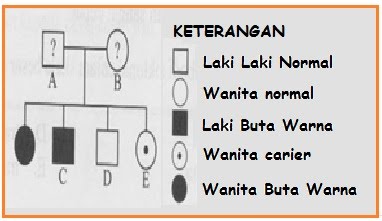 BIOLOGI GONZAGA: SOAL UN 2011 80 %