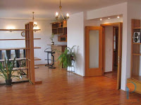 Apartament Primaverii - living