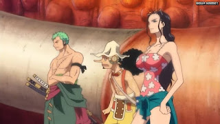 ワンピースアニメ パンクハザード編 581話 ゾロ ウソップ ロビン | ONE PIECE Episode 581