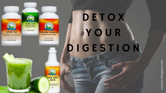 detox digestion health