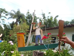 Rota 2 (211)