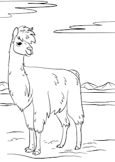 Llama Coloring Pages For Print Images