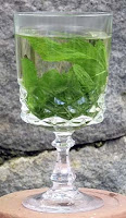 Annisquam Herb Farm Spearmint tisane