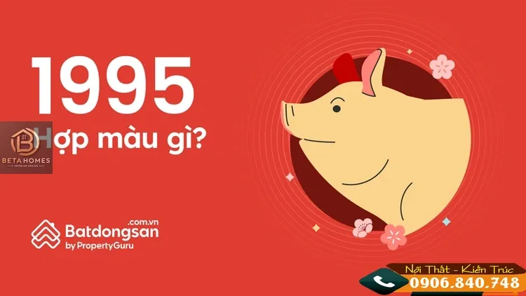 1995 hợp màu gì