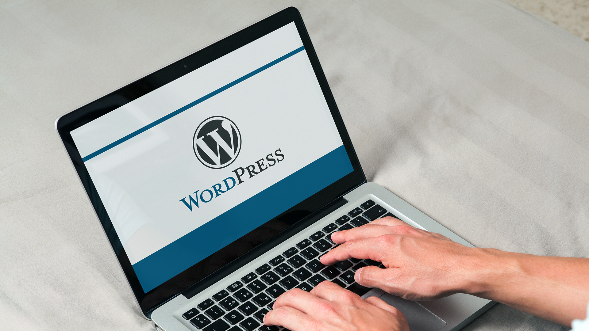 wordpress website designer