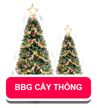 BBG CÂY THÔNG