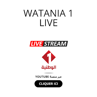 watania 1 live streaming YouTube - البث الحي و المباشر عبر منصة يوتيوب