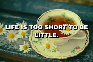 Life is too short to be little.