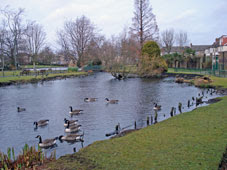 Waddon Ponds