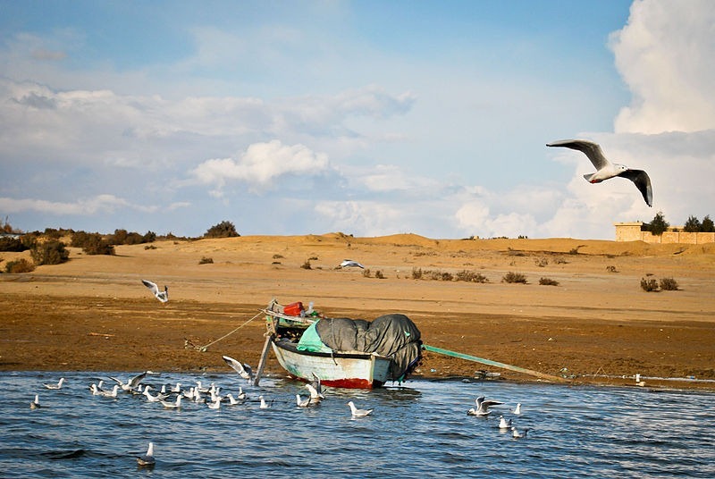 wadi-el-rayan-lake2