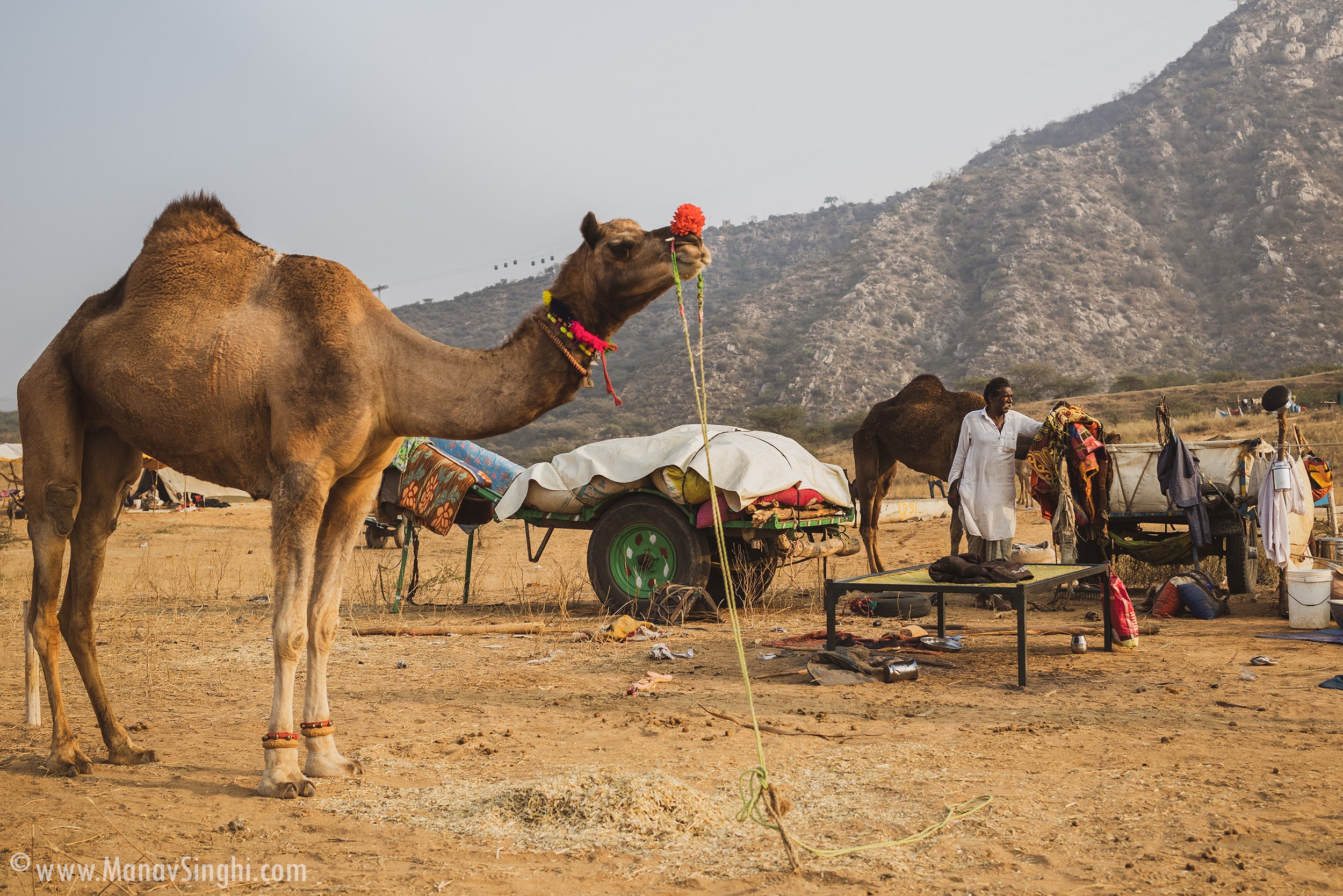 Pushkar Camel Fair Rajasthan