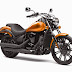 2014 Kawasaki Vulcan 900 Bike