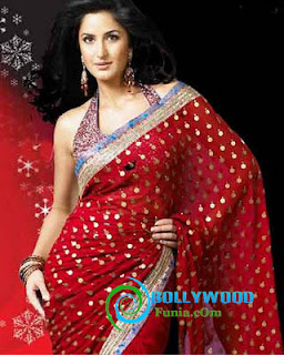 Katrina Kaif Unseen Saree Stills 2013