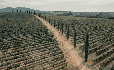 when is scheduled the strade bianchi road bicycle race in Tuscany Italy