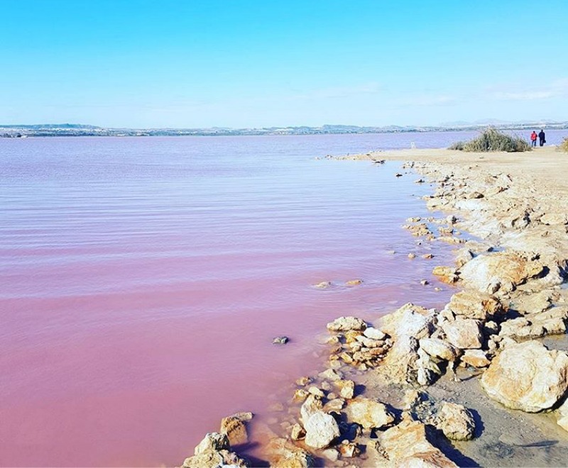 Pink salt lake at Torrevieja