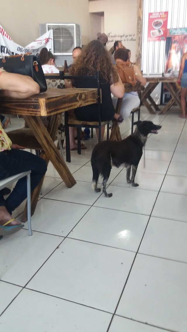 Webleitor constrangido com presenças de cãe dentro de restaurante