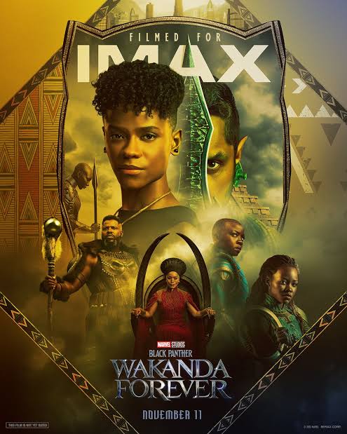Black Panther Wakanda Forever Budget, Box Office Collection, Hit or Flop