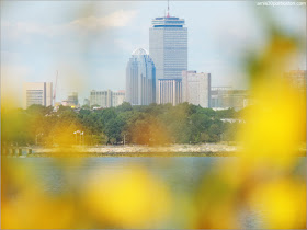 Vista del Prudential desde Spectacle Island