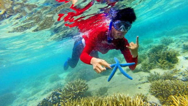 Gili Labak, surga bawah laut di Pulau Garam yang menyilaukan mata penikmatnya