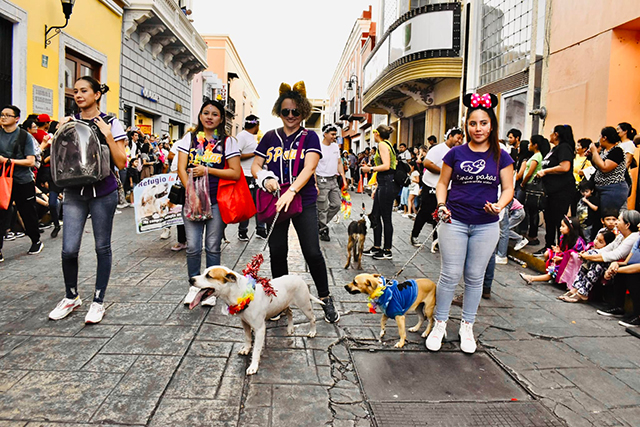 Regresa Adopta Carnaval en su segunda edición