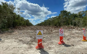 Nunca se quejaron por Xcaret y concesión a empresa de EU: AMLO ante críticas de daños por Tren Maya