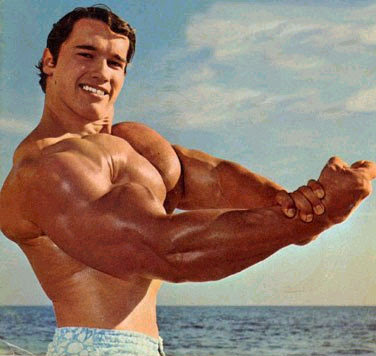 Arnold Schwarzenegger Body Building Photos