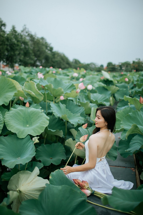 Photo: Đình Lẫm