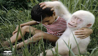 11 Hewan Albino Paling Menakjubkan Di Dunia