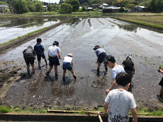 吉瀬地域環境保全ネットワーク恒例の農業体験