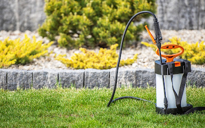 Some of the Best Tips for Cost-Effective Lawn Care