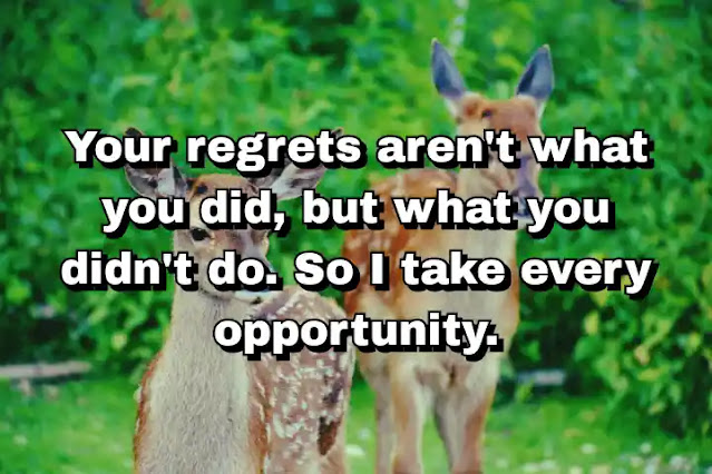 "Your regrets aren't what you did, but what you didn't do. So I take every opportunity." ~ Cameron Diaz