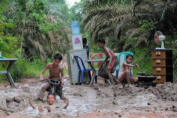 Jalan perkebunan sawit yang di salahin pemerintah dan di samain jalan umum