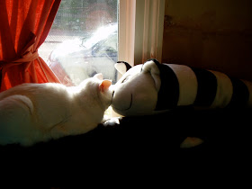 white cat sitting in the window nose to nose with a soft toy cat 