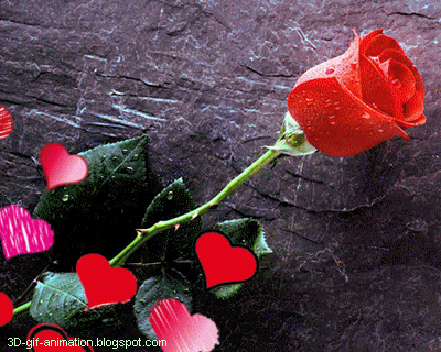 love rose gif