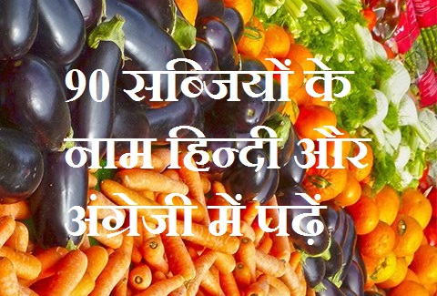 90 सब्जियों के नाम हिन्दी और अंग्रेजी में पढ़ें