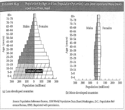 Contracting Population Pyramid. Demographic transition in population base of the sub-saharan africa and Than whether a developingcountries with Developing+country+population+pyramid